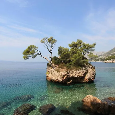 Snug In With Swimming Pool 塞莱纳